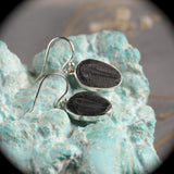 Trilobite Fossil sterling silver earrings