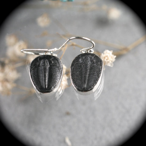 Trilobite Fossil sterling silver earrings