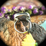 Botswana Agate sterling silver ring
